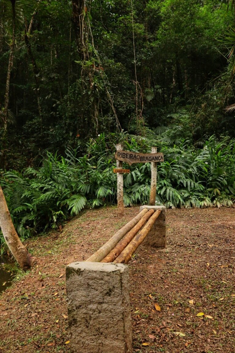 Camping Reimberg (24)