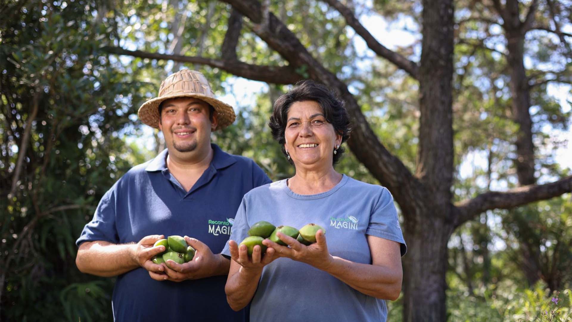 Mãos colhendo Cambuci no território do Polo de Ecoturismo