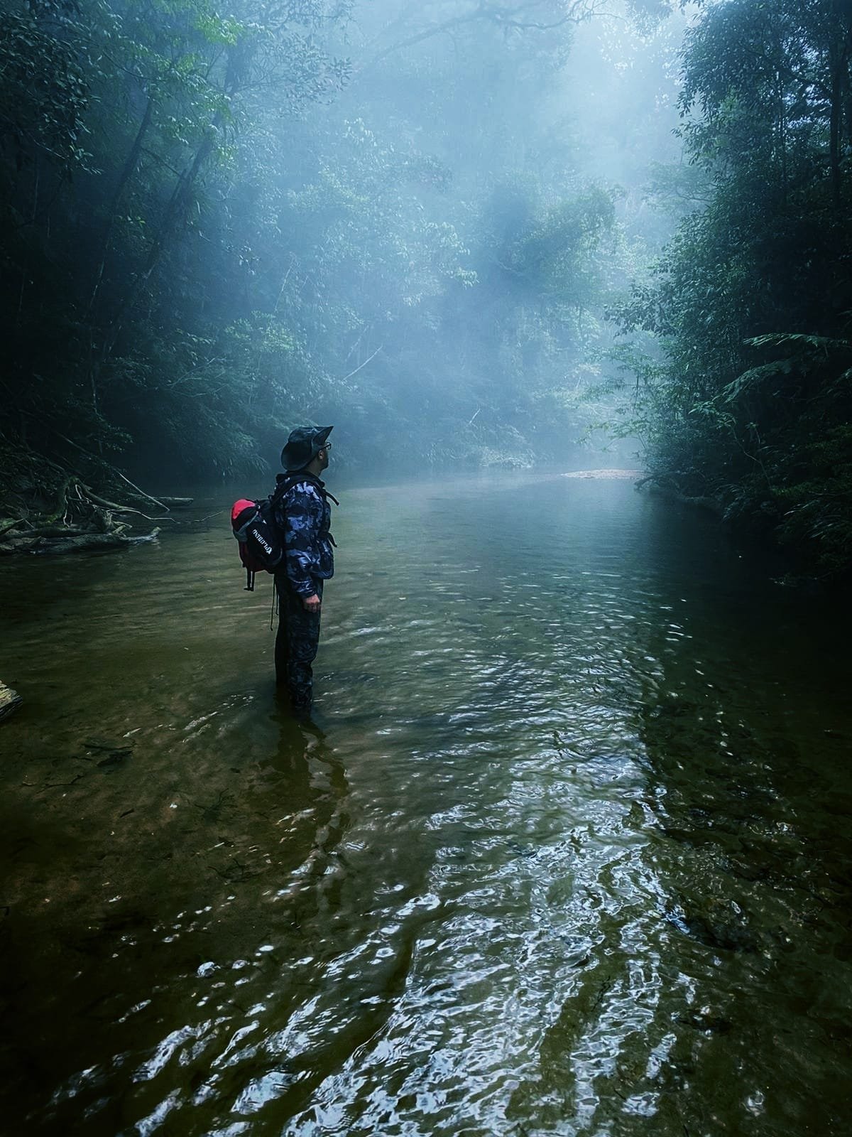 Pesquisa ambiental em campo