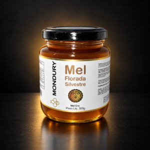 Mel Apis 300g — Escolha a Florada