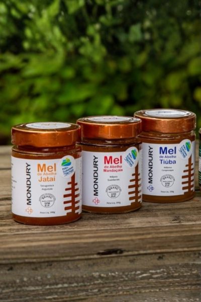 MEL DE ABELHAS NATIVAS